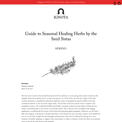 Guide to Seasonal Healing Herbs by the Seed Sistas