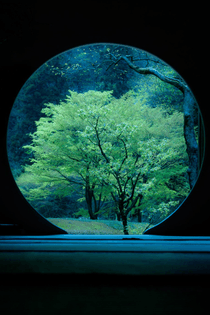 Beauty of the tea house by Yasuhiko Yarimizu