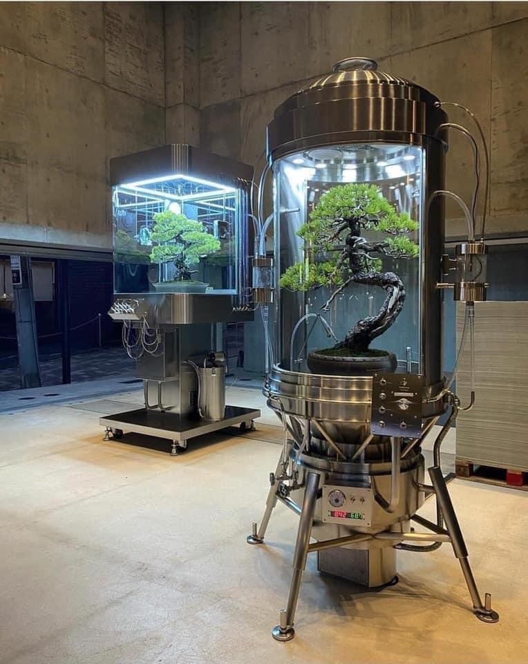 132554509_213624260384654_903595504492080543_n.jpg?_nc_cat=109-ccb=1-5-_nc_sid=973b4a-_nc_ohc=ioq2jkhcfdwax9th45i-_nc_ht=sco...