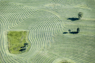 Wavy Lines (by Aerial Photography)
