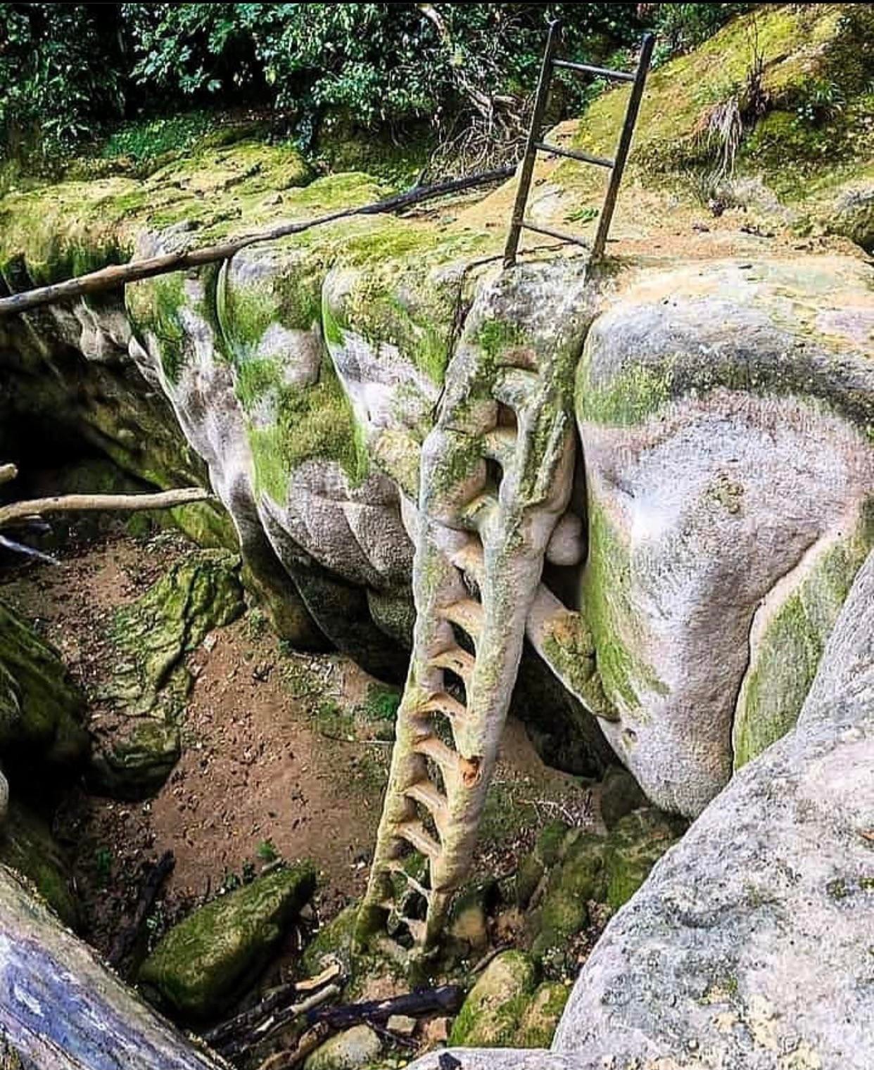 Petrified iron ladder, Jura, France