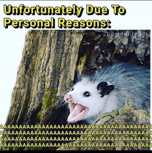 732393ee-b139-49d1-bc6a-cd1c2c1dee01.jpeg