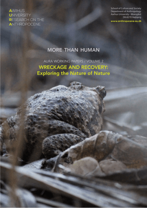 MORE THAN HUMAN: WRECKAGE AND RECOVERY