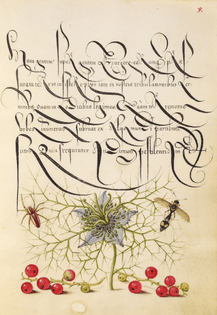 The Model Book of Calligraphy (1561–1596)