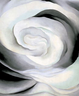 Georgia O'keeffe Abstraction White Rose.jpg