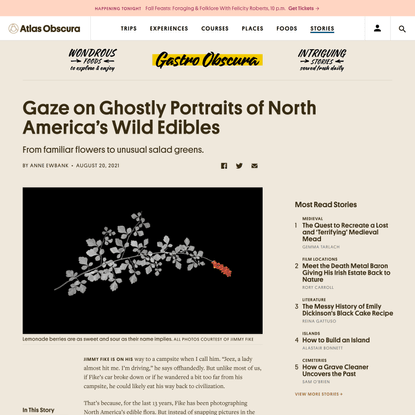 Gaze on Ghostly Portraits of North America’s Wild Edibles - Gastro Obscura