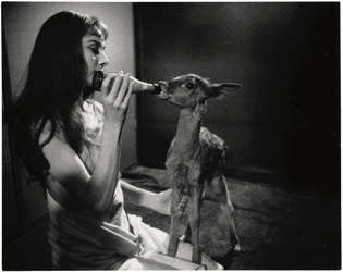 Audrey Hepburn feeds her pet deer Ip its morning bottle during a break from filming on MGM’s ‘Green Mansions’, 1958. Photos by Bob Willoughby.