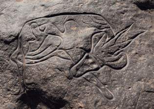 sleeping Antelope incised on rock up to 10,000 years ago at Tin Taghirt, Tassili n'Ajjer in Algeria