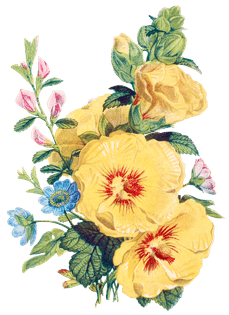 htc_heritage-library_flower-bouquetelement-7.png