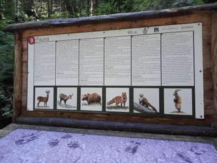 Wildlife plaque at foresta dei Bagni di Masino, Italy 