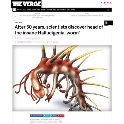 After 50 years, scientists discover head of the insane Hallucigenia ‘worm’