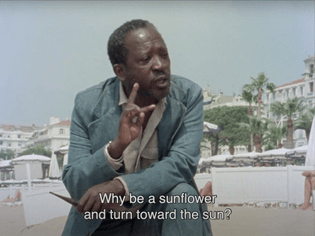 Sembène "Why be a sunflower and turn towards the sun".jpeg