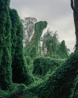 Simon Deadman, Wetlands VI, Perth, 2015