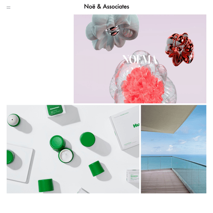 Projects - Noë &amp; Associates