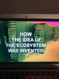 Ecosystems/ cybernetics
