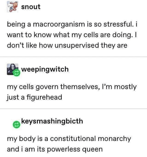 My body is a constitutional monarchy