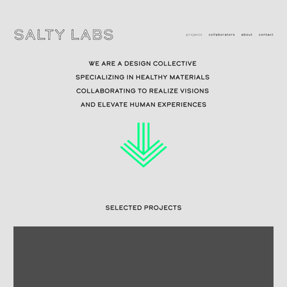SALTY LABS