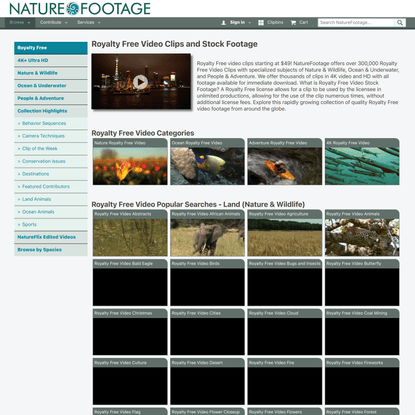 Stock Video Footage Royalty Free Video Rights Managed Nature Stock Footage