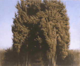 Israel Hershberg (b. 1948), A Cypress Assembly, 1999. Oil on canvas mounted on wood, 20.5 x 25 cm.
