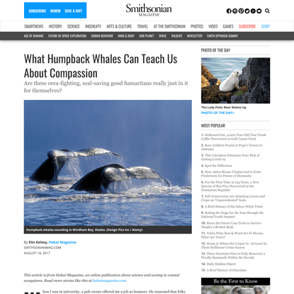 What Humpback Whales Can Teach Us About Compassion