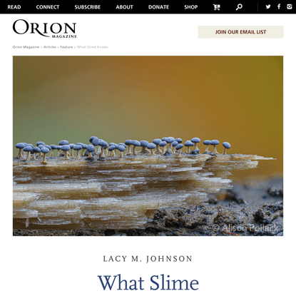 Orion Magazine - What Slime Knows