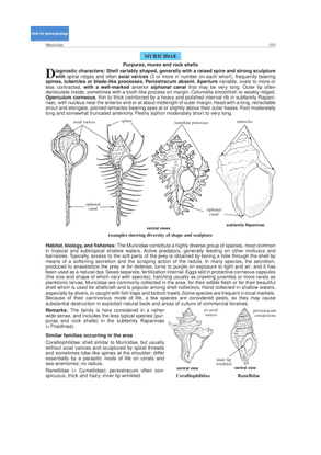 murex.pdf