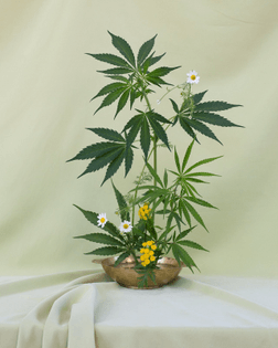 Weed ikebana in full flower, floral design by Amy Merrick, photography by Anja Charbonneau