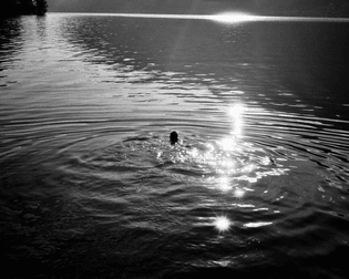 lake-study_iris-humm_18.jpg