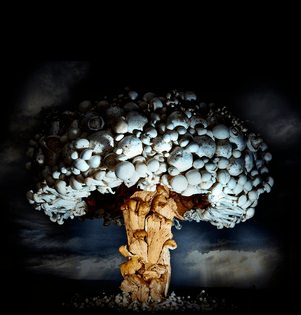 mushroom-cloud_02_29908f.jpg