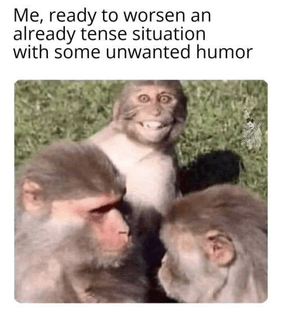 2869c0226dee1a0c093e506043eac4227cc6ae93.jpg