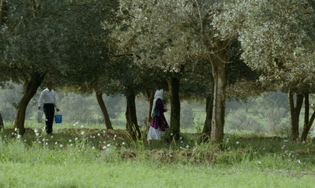 Through the Olive Trees (1994)