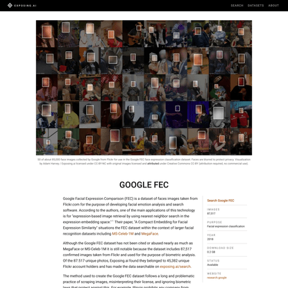 Exposing.ai: Google FEC