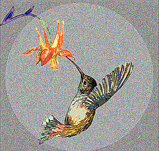 1-hummingbird-chaos-.png