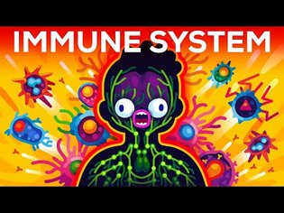 How The Immune System ACTUALLY Works - IMMUNE