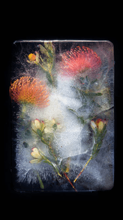 oem-ice-3d-ideas-242728377_2288979494577147_5256709929688159086_n.jpg