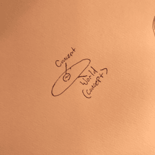 Two types of concepts: A concept and a world concept 