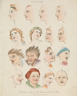 sixteen faces expressing the human passion