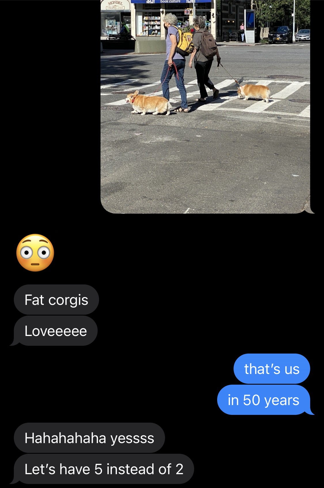 everything in moderation except corgis