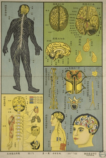 bodyandlight: Vintage Chinese poster