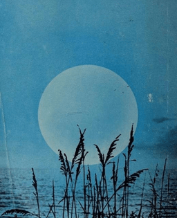 1a3423c8-ba7f-47d5-bbd8-f354cc8f6f52.jpg
