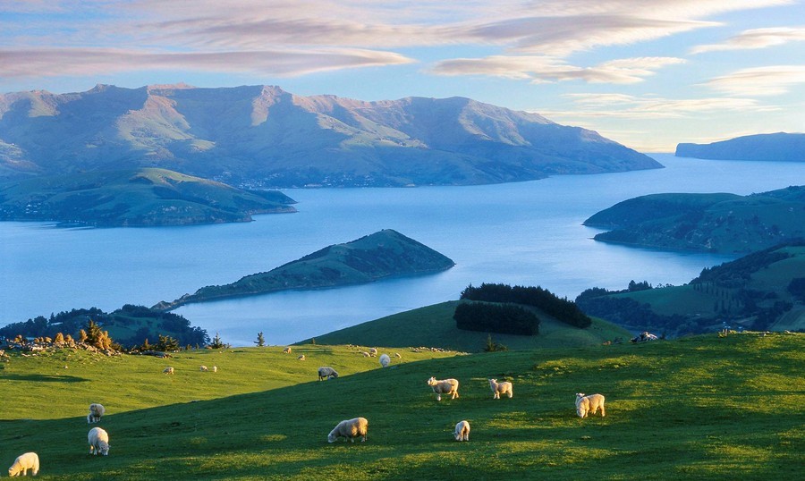 Akaroa новая Зеландия