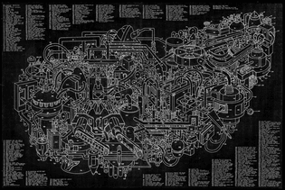 original_2f3c09203a6d8d20a230d190e502fd95.jpeg