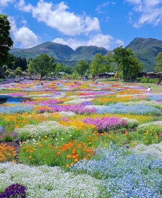 original_731d23f01fcbd47f61d7e563756942df.jpg?1622819567?bc=0