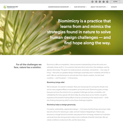 What Is Biomimicry? – Biomimicry Institute