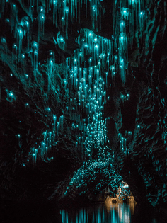 glow-worms-caves-550250.jpg