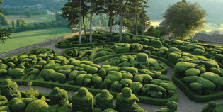 topiary garden