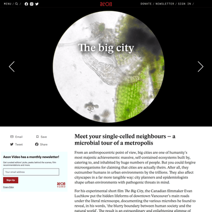 Meet your single-celled neighbours – a microbial tour of a metropolis | Aeon Videos