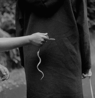 imogencunninghamofficialsite-imogen-cunningham-hand-with-snake-1967-1968.jpg