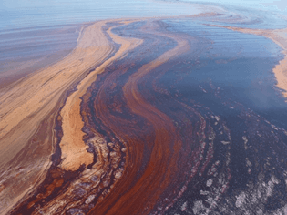 researchers-are-figuring-out-how-bacteria-can-help-clean-up-oil-spills.jpg