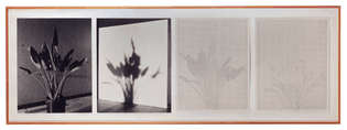 Charles Gaines, Shadows II, Set 1, 1980